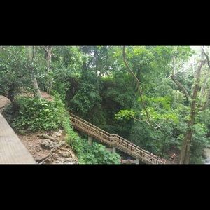 Meet your Posher, Jazmin